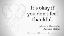 Download for Facebook or Twitter It's okay if you don't feel thankful. -Miranda Hernandez, Adrian's Mother