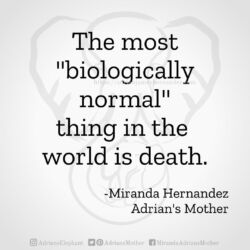 Download for Instagram The most biologically normal thing in the world is death. -Miranda Hernandez, Adrian's Mother