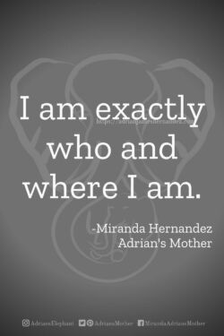 Download or click "P"/Save
button to post to Pinterest I am exactly who and where I am. -Miranda Hernandez, Adrian's Mother