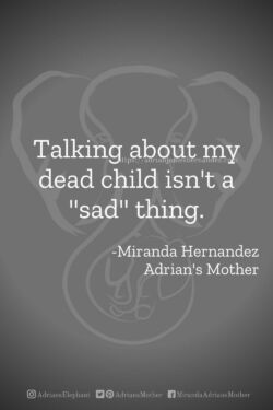 Download or click "P"/Save
button to post to Pinterest Talking about my dead child isn't a "sad" thing. -Miranda Hernandez, Adrian's Mother