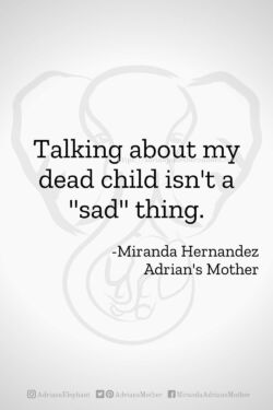 Download or click "P"/Save
button to post to Pinterest Talking about my dead child isn't a "sad" thing. -Miranda Hernandez, Adrian's Mother