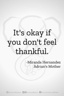 Download or click "P"/Save
button to post to Pinterest It's okay if you don't feel thankful. -Miranda Hernandez, Adrian's Mother