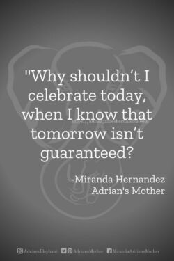 Download or click "P"/Save
button to post to Pinterest Why shouldn’t I celebrate today, when I know that tomorrow isn’t guaranteed? -Miranda Hernandez, Adrian's Mother
