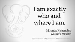 Download for Facebook or Twitter I am exactly who and where I am. -Miranda Hernandez, Adrian's Mother
